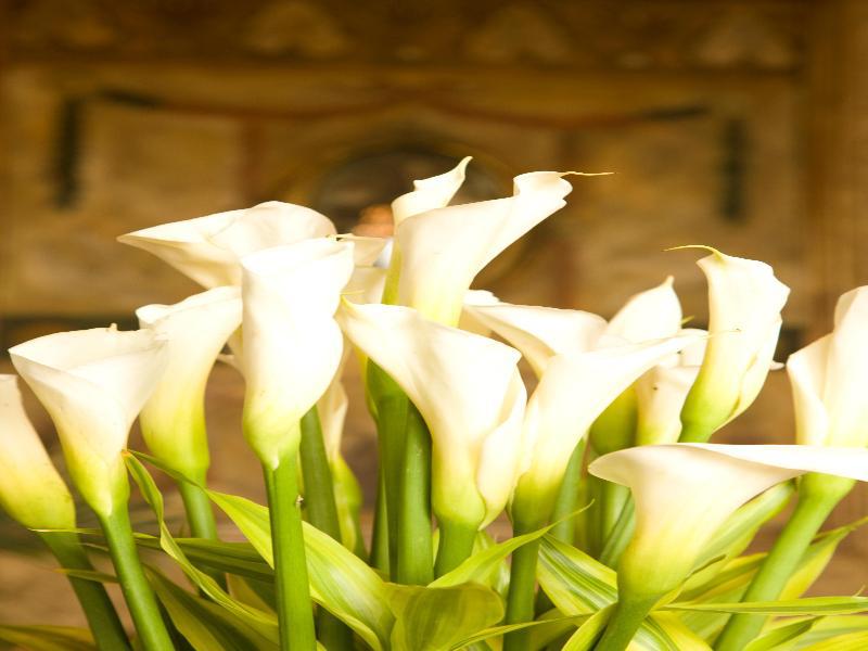 Hotel Boutique Mansion Del Rio กวายากิล ภายนอก รูปภาพ